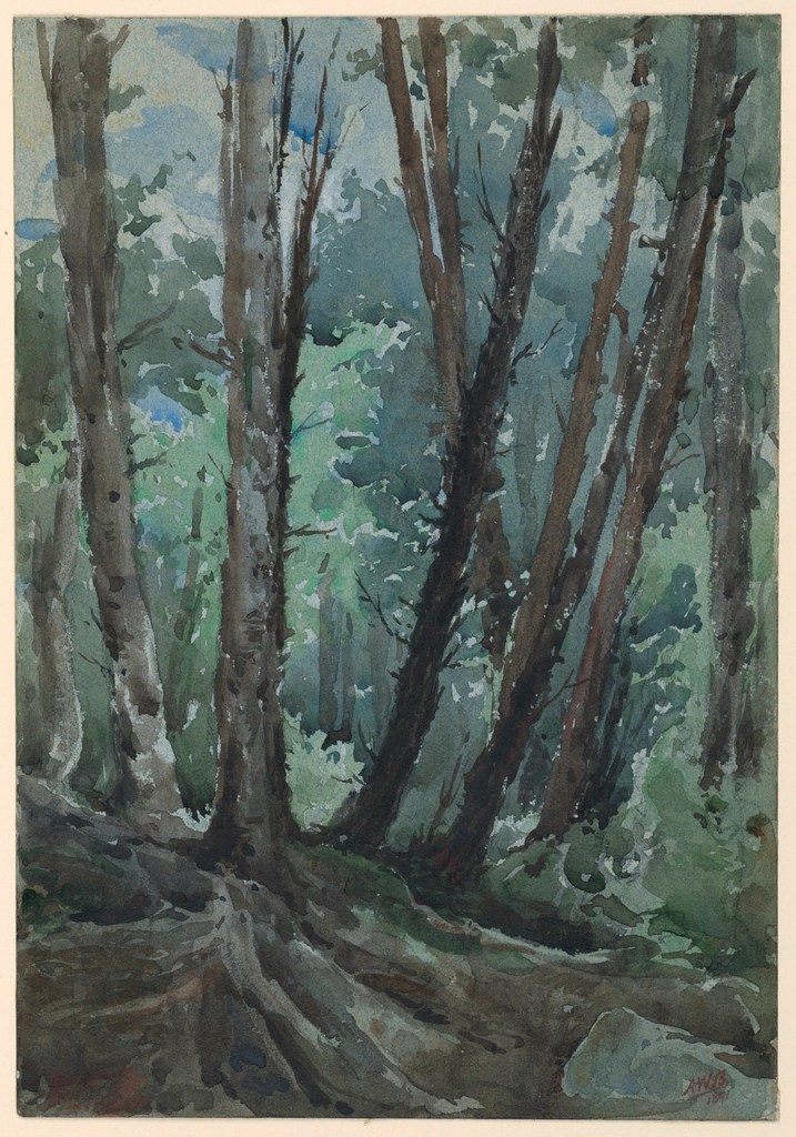An Ode to the McCormick&nbsp;Wilderness